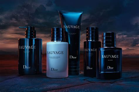 dior sauvage in 2023|is Dior Sauvage worth it.